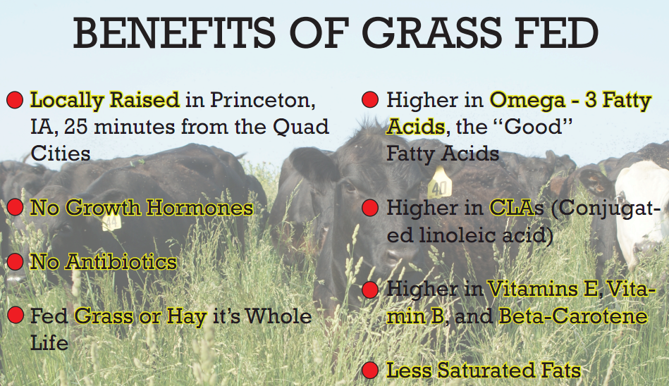 benefits of grass fed